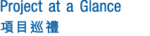 Project at a Glance     